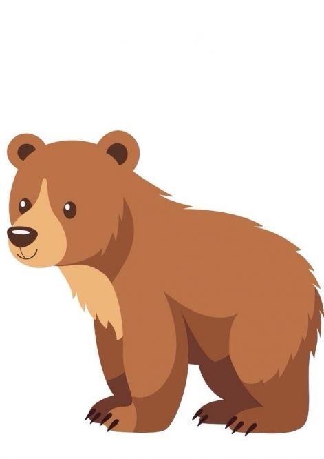---medve.jpg